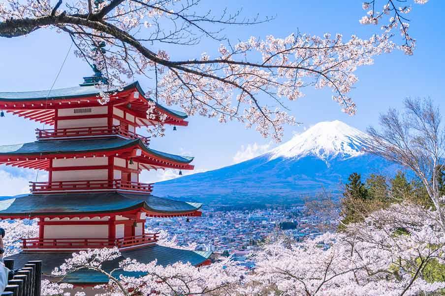 Japonya’nın Dillere Destan Sakura Festivali
