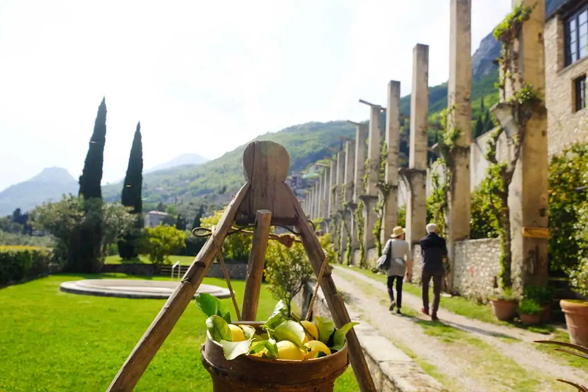 İtalya’da Limonların Başrolde Olduğu Festival