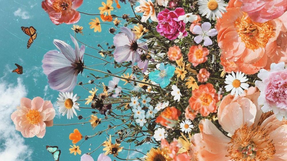 İstanbul’da Bahar Başladı: Galataport Çiçek Festivali