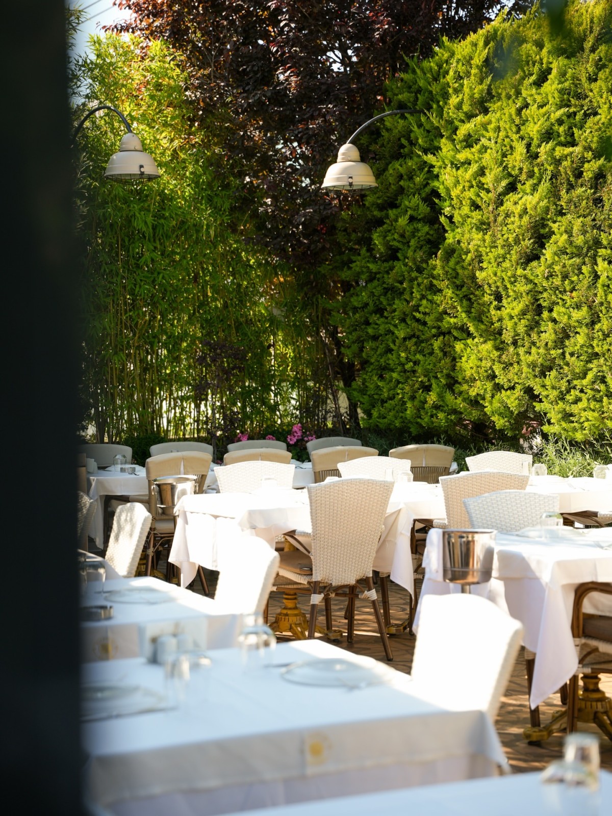 Yeşillikler İçinde Gastronomi Keyfi Kalbur Et’te Yaşanıyor