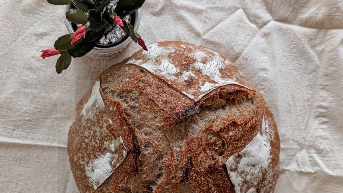 Çıtır Kabuğu, Yoğun Aroması ve Hikâyesiyle Sourdough Fenomeni
