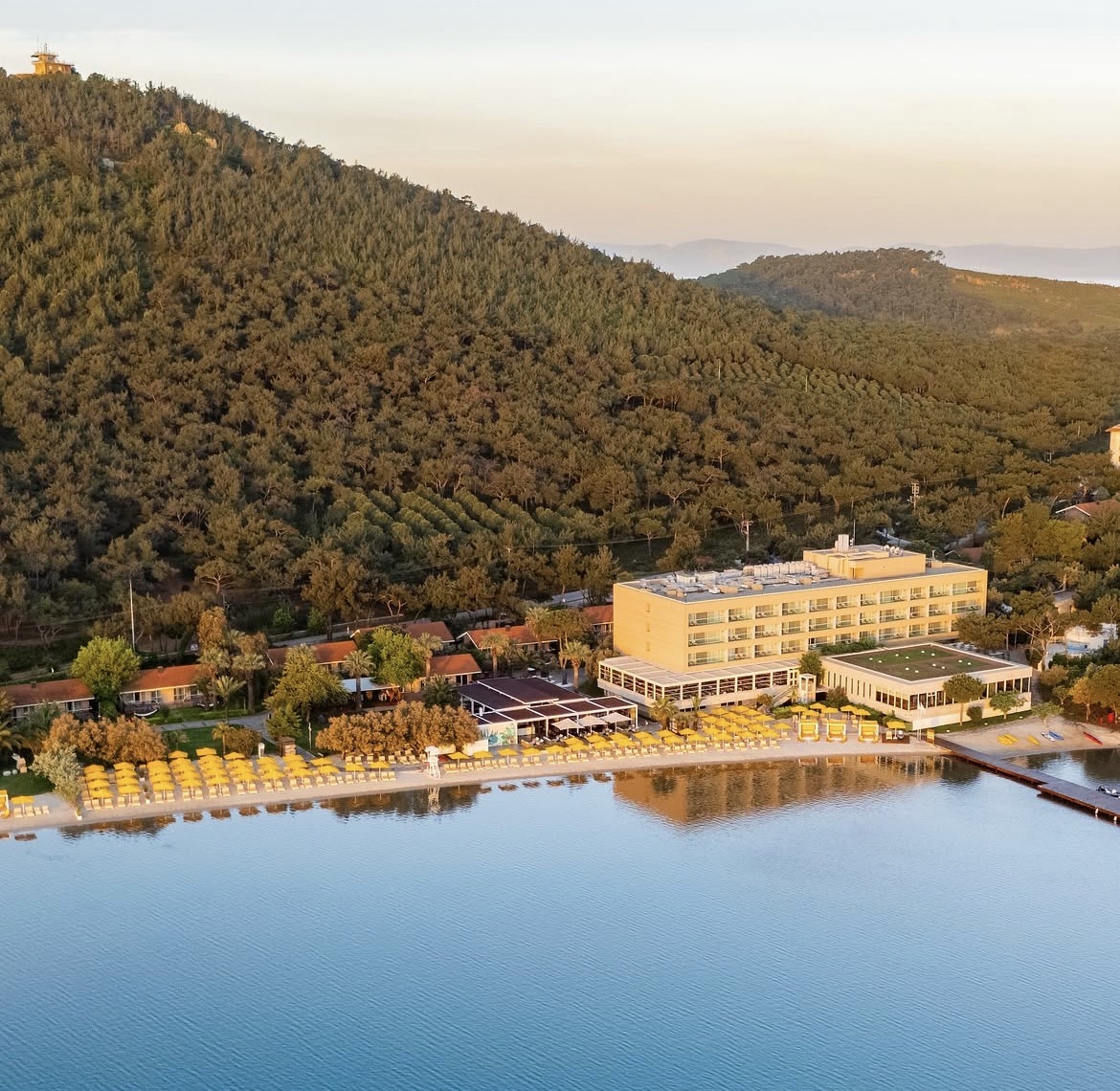 D-Resort Ayvalık’ta Zeytinli Hafta Sonu: Hasattan Sofraya Sonbahar Buluşması