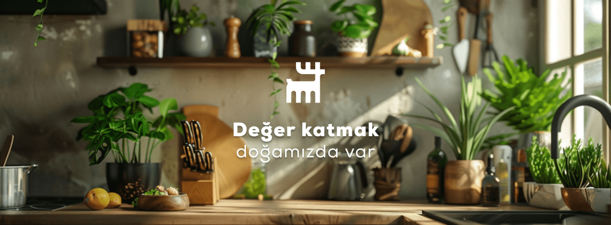 Karaca’nın 2030 Enerji Hedefi: Tamamen Yenilenebilir Elektrik
