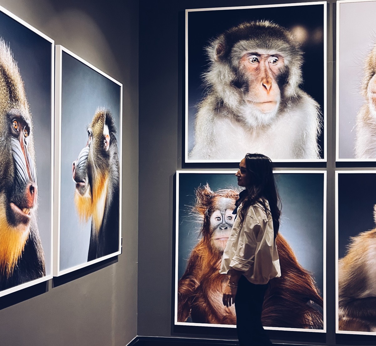 212 Photography Istanbul'un Ardından: Fotoğrafın Bittiği Yerden Başlamak